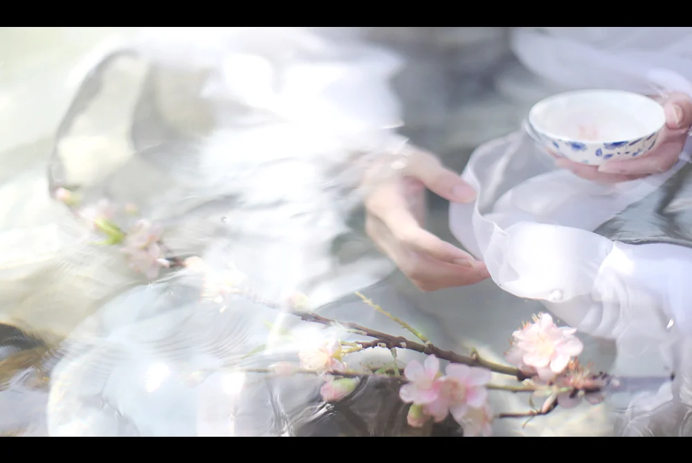 Rigorous 花千骨 白子画cospaly