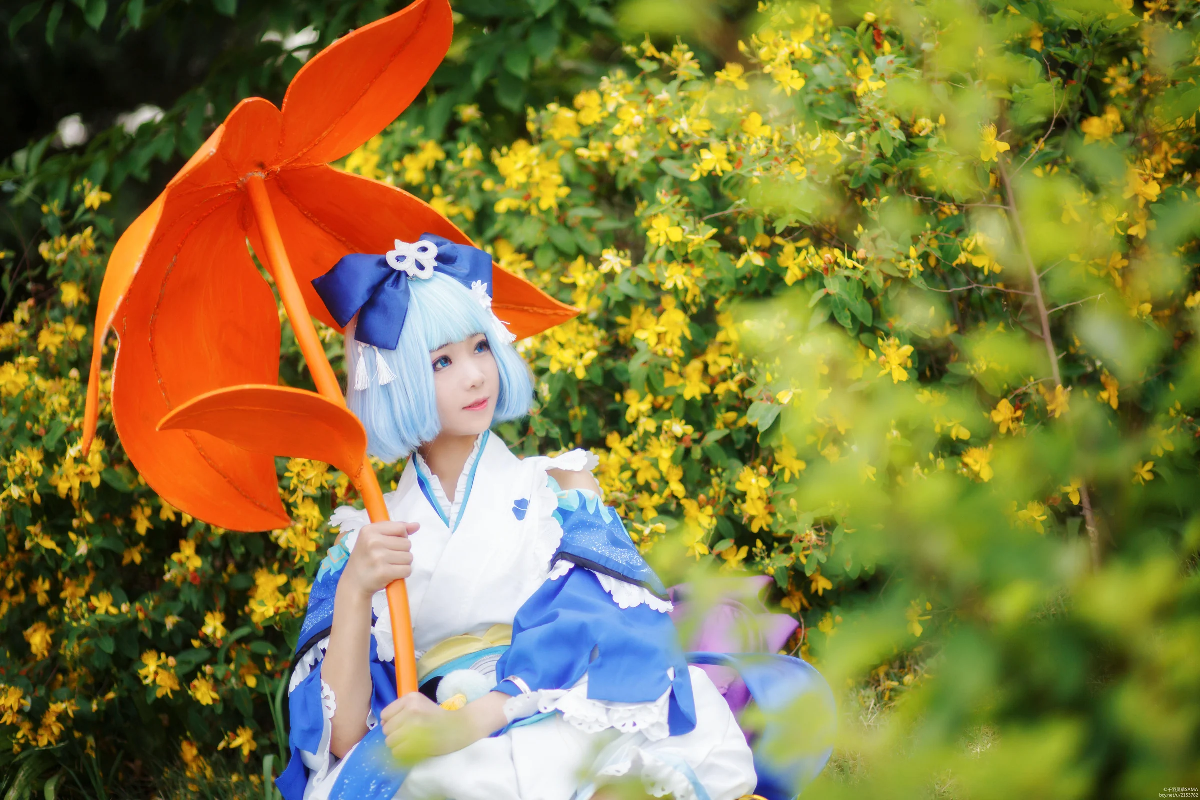 阴阳师萤草COS写真