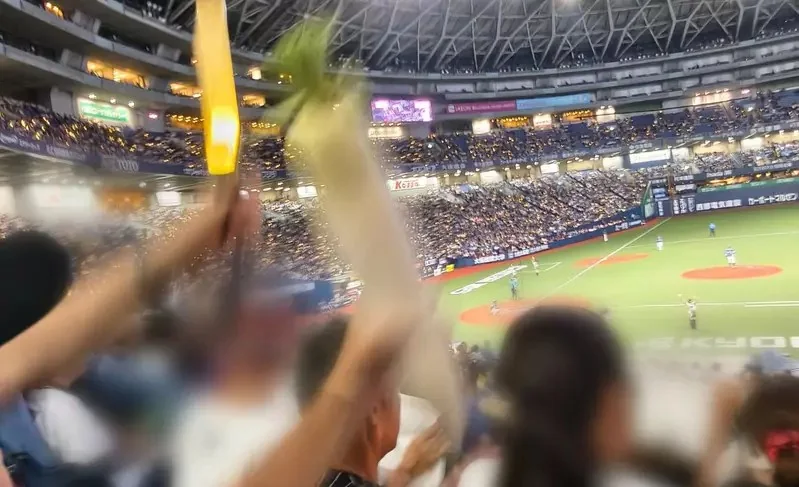 日本棒球場驚見《拿著蘿蔔加油的球迷》一看就知道是哪間學校的校友了？｜高清图片集