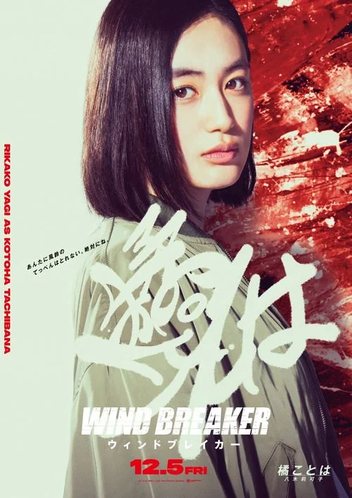 真人版电影《WIND BREAKER—防风少年—》演员阵容｜高清图片集