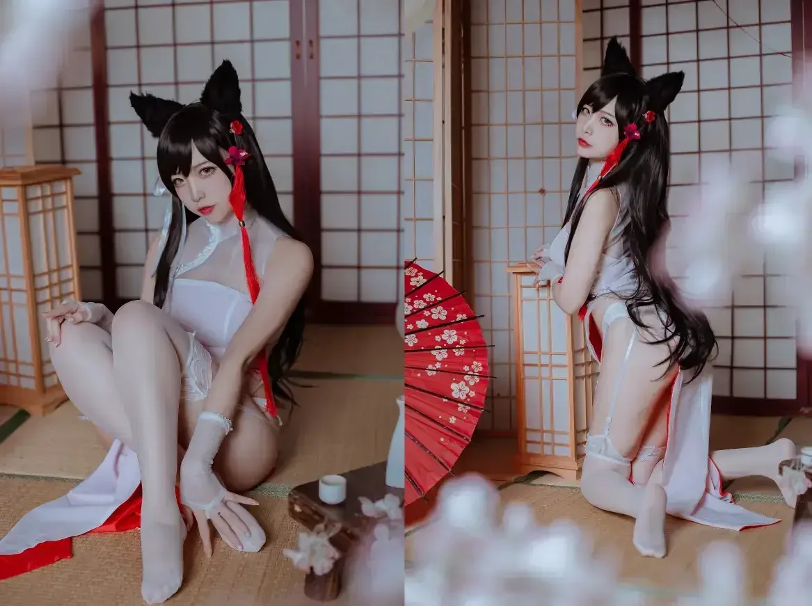 二佐Nisa – 犬之眷 碧蓝航线 爱宕 旗袍｜高清图片集