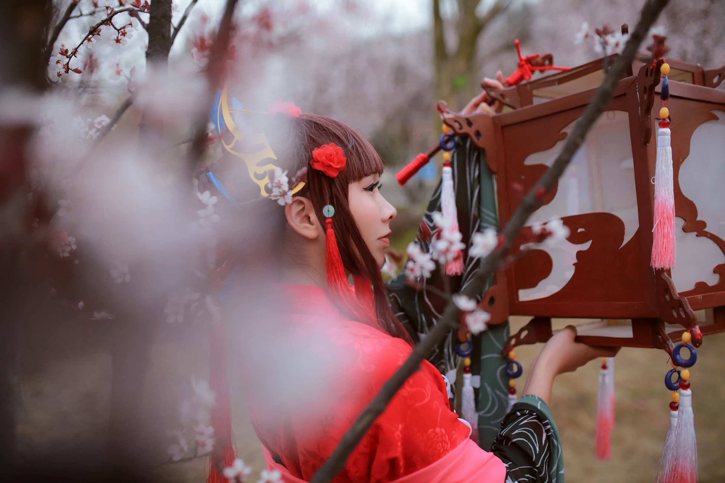 花灯结，提灯少女｜高清图片集
