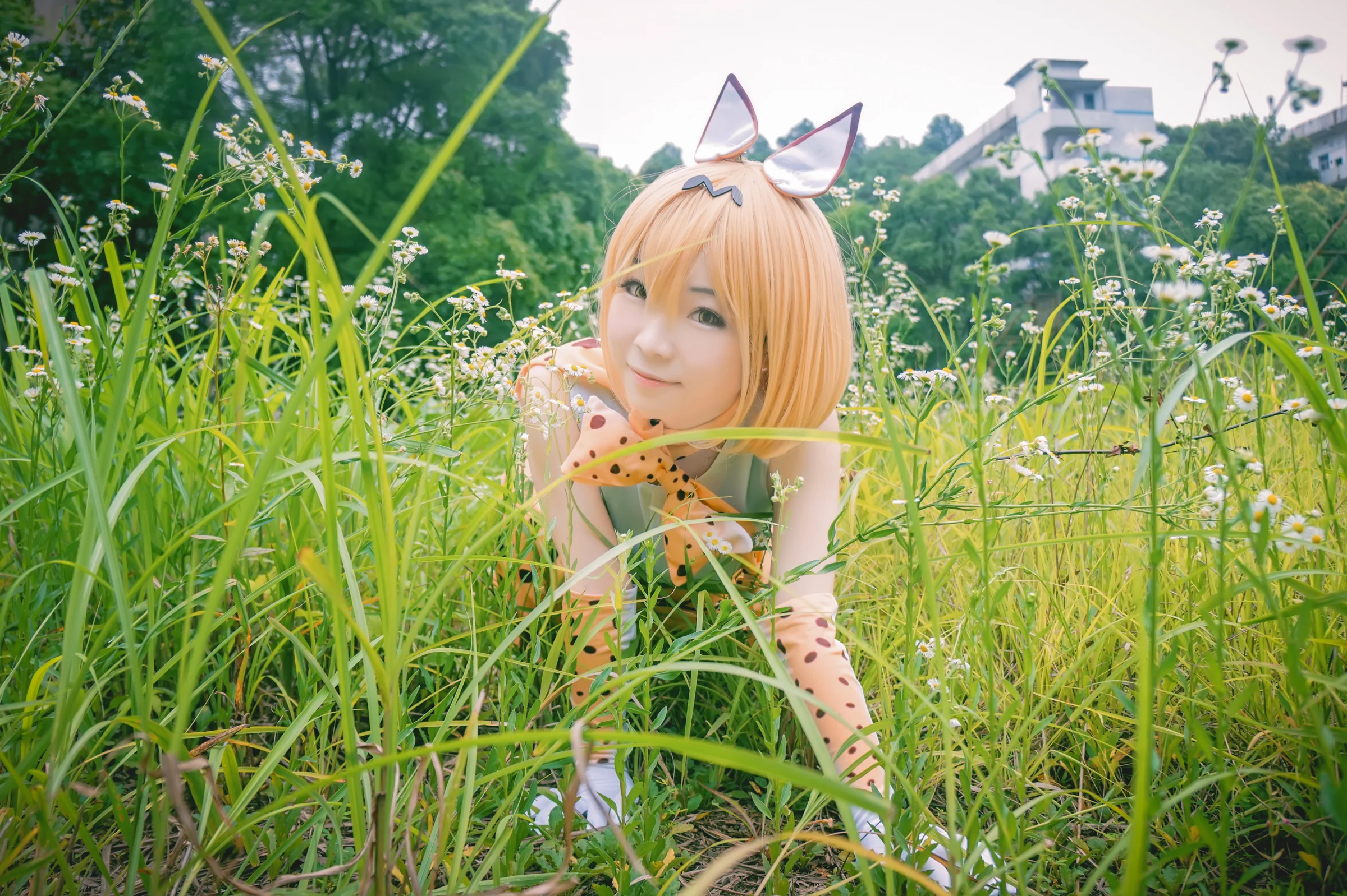 兽娘动物园 薮猫COS写真
