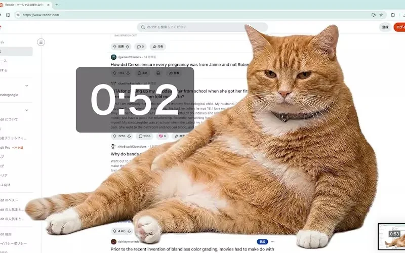 網友開發防沉迷插件《Cat Gatekeeper》上網上太久貓貓就會出現霸佔你的螢幕｜高清图片集