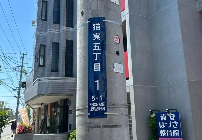 貓奴們想要住在《名字有貓字的地區》日本各地其實存在這麼多｜高清图片集