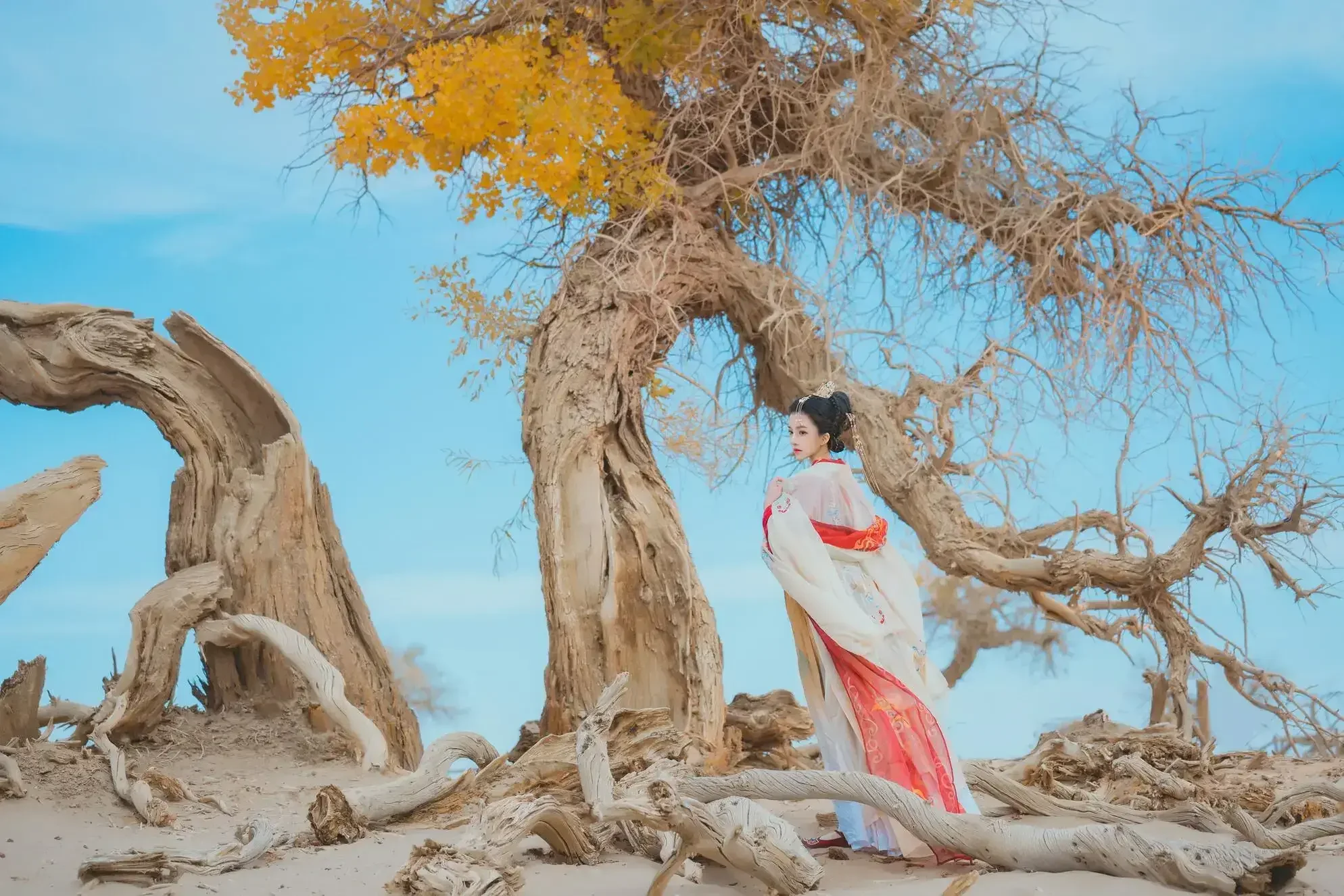 桜桃喵 – 惊鸿｜高清图片集