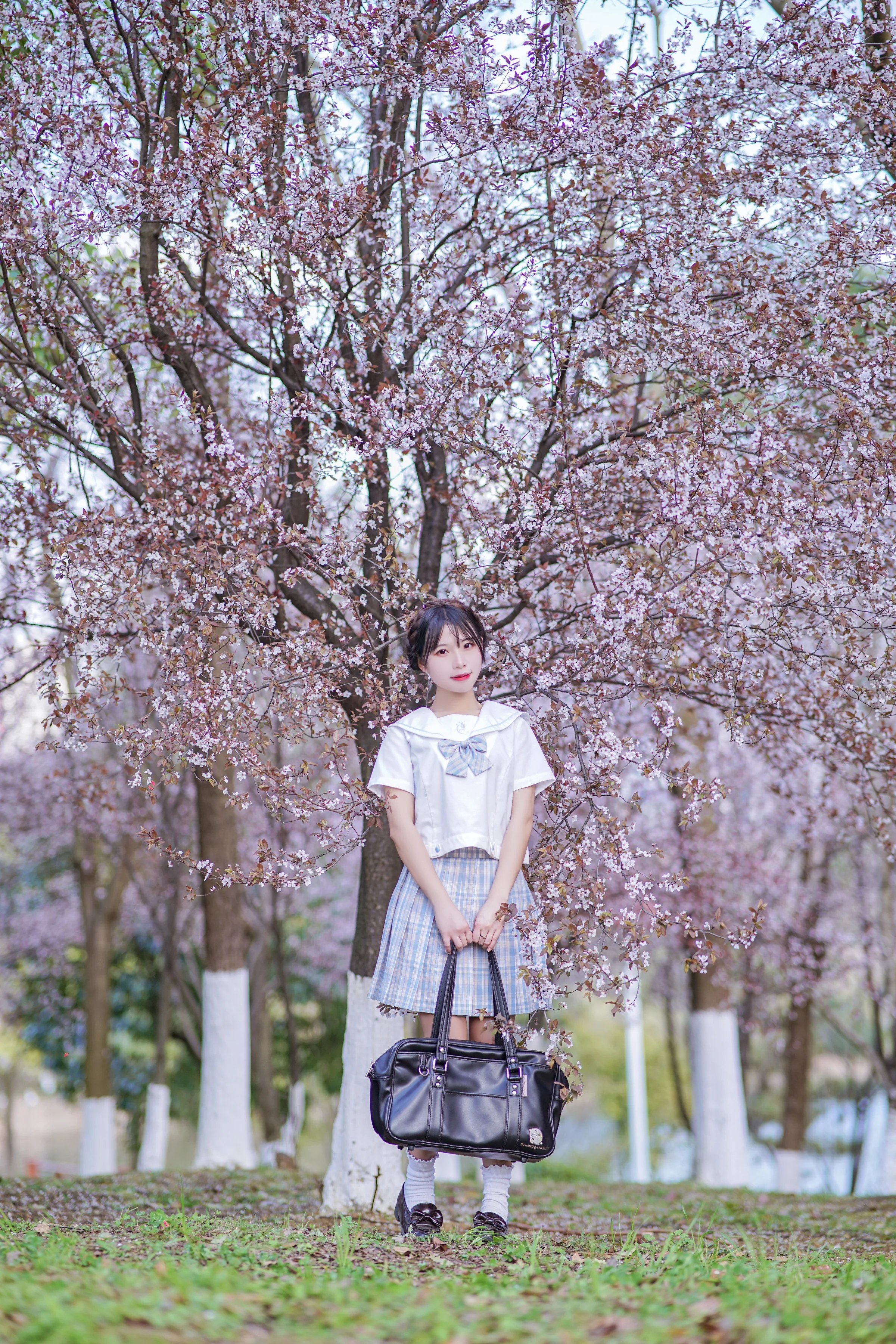 JK制服，向往春暖花开｜高清图片集