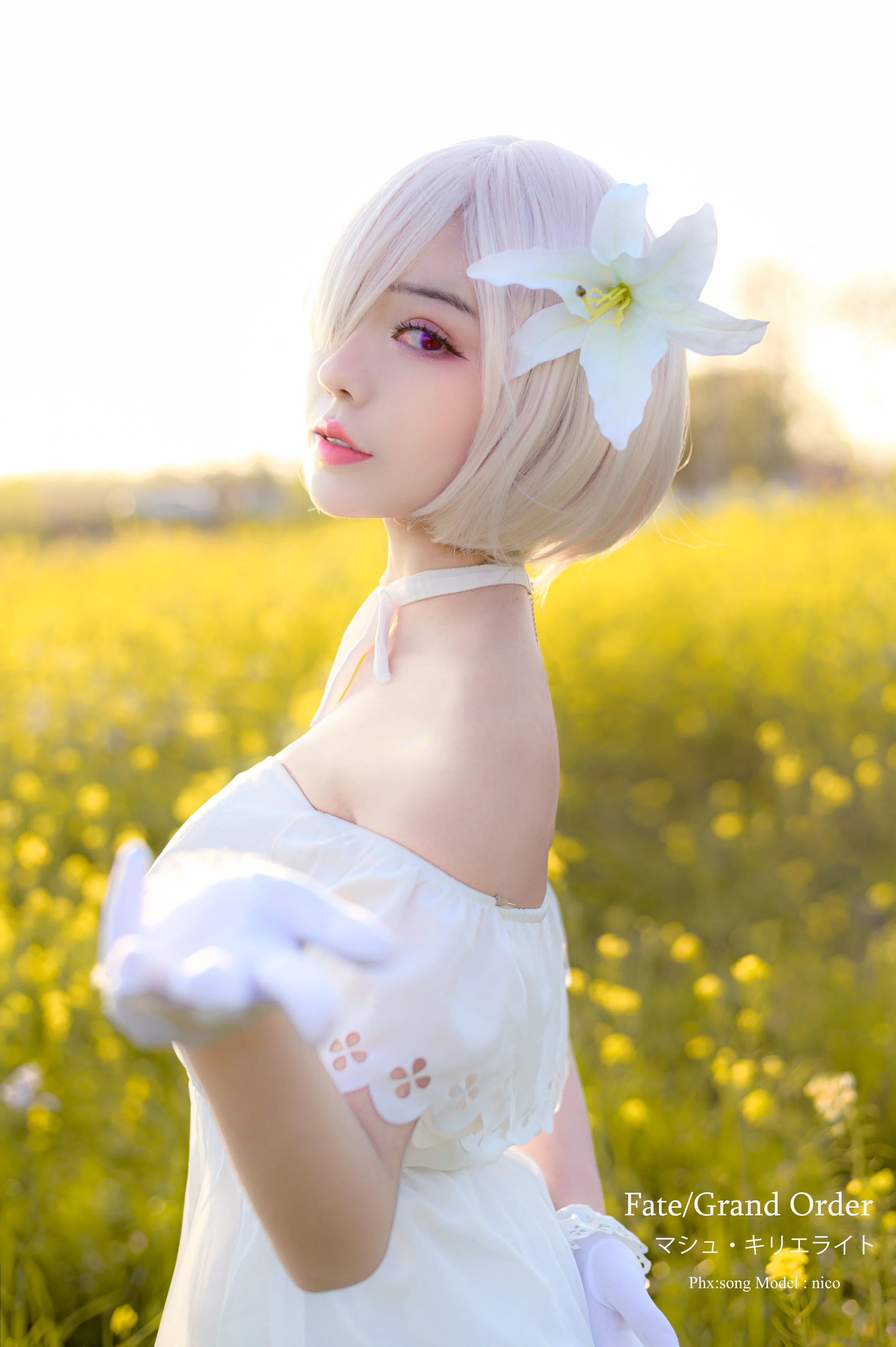 Fate/Grand Order 玛修COS写真