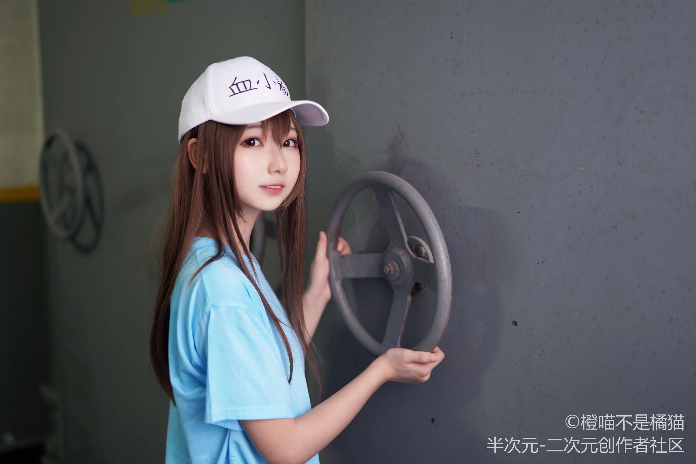 工作细胞 血小板COS写真