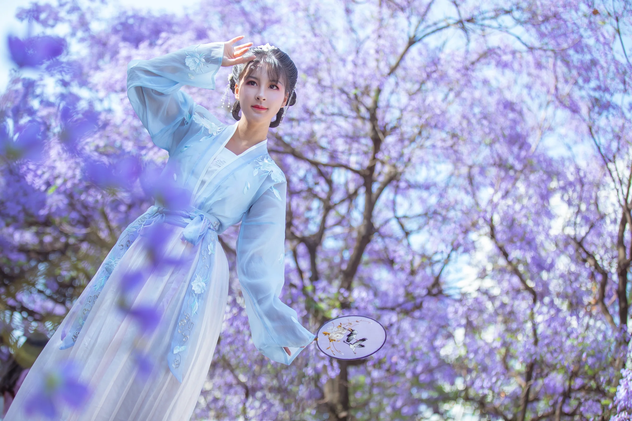 汉服蓝花楹｜高清图片集