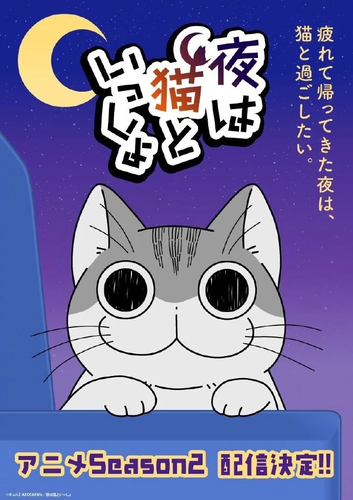 キュルZ「关于养猫我一直是新手」动画第2季制作决定｜高清图片集