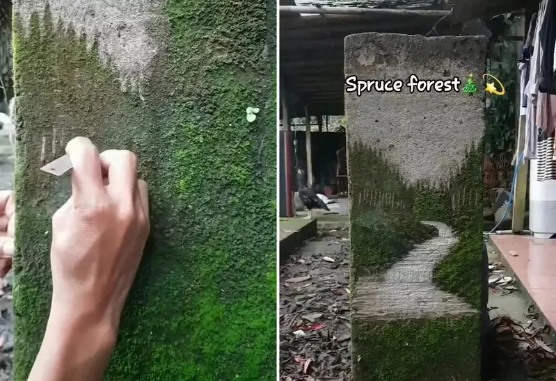 透過刮擦苔蘚來創作風景畫 不是高壓水槍而是透過刀片去一刀刀刻劃出藝術的深度｜高清图片集
