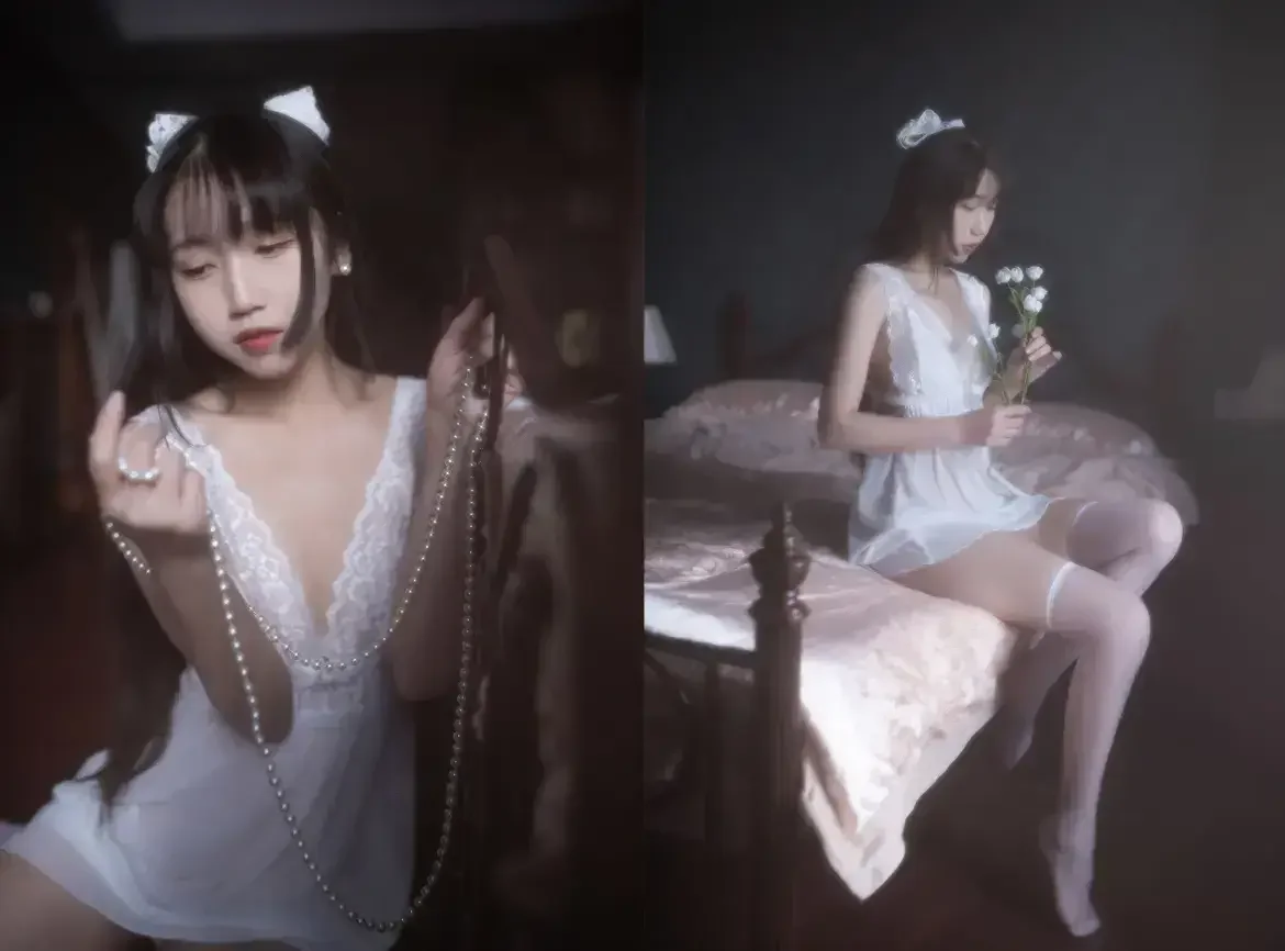 不呆猫 – 白月光｜高清图片集