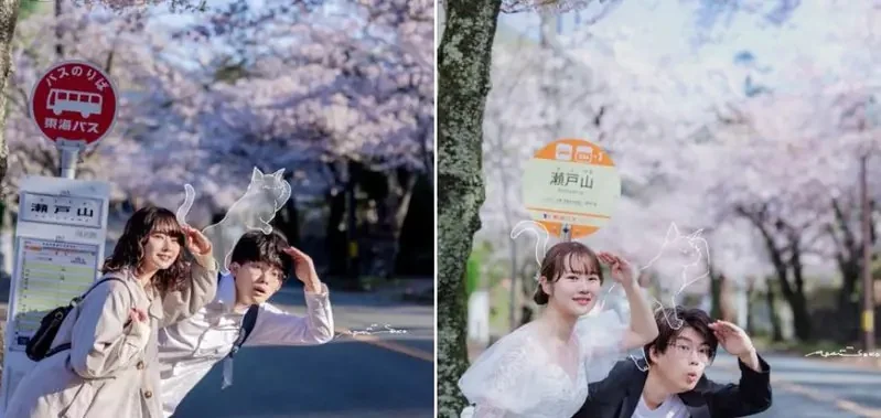 攝影師分享《在以前跟女友拍照的地方跟老婆拍照》被網友痛罵太沒品了……｜高清图片集