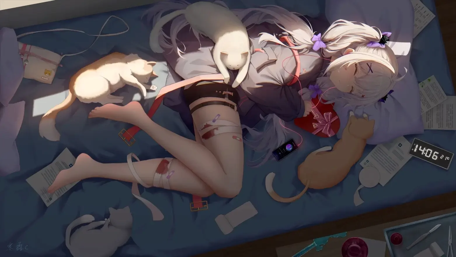 少女 二次元 睡觉 猫 可爱 4k动漫壁纸｜高清图片集