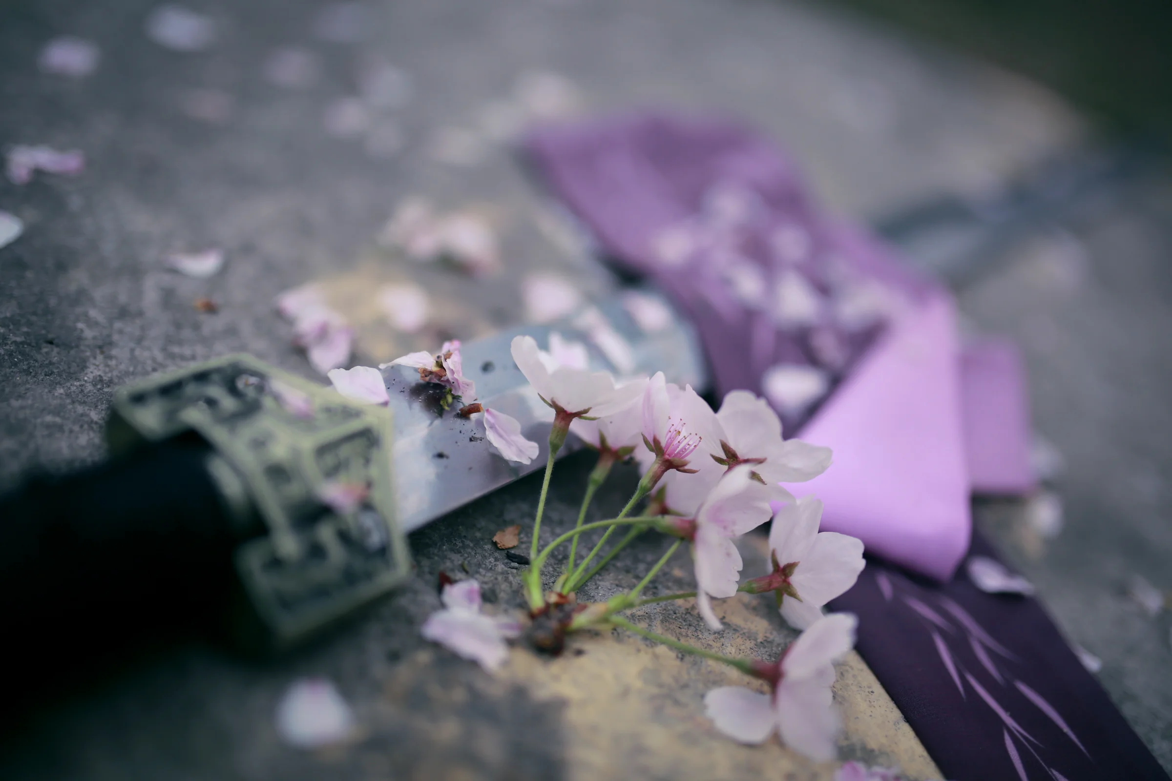 原创古风，樱花亿｜高清图片集