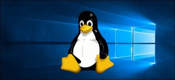 一个艰难的决定！“Linux中国” 开源社区宣布停止运营｜高清图片集