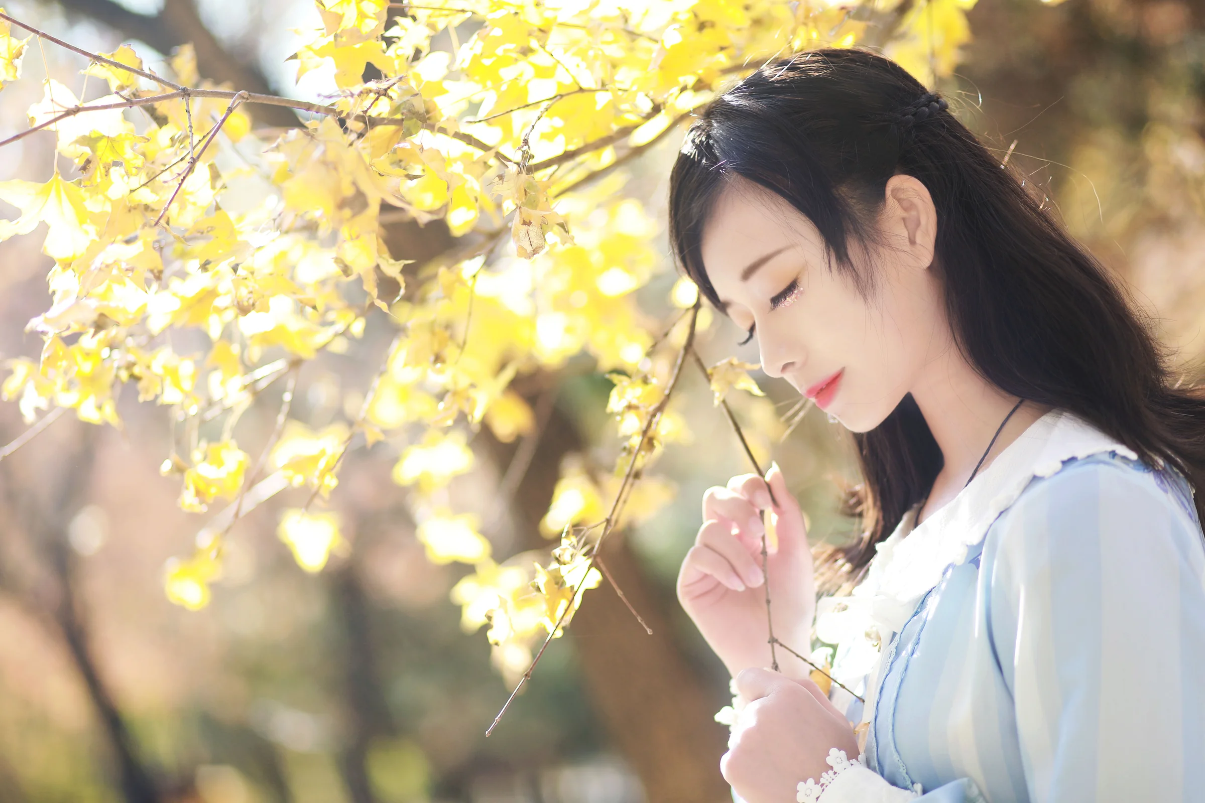 lolita私影 银杏叶get｜高清图片集