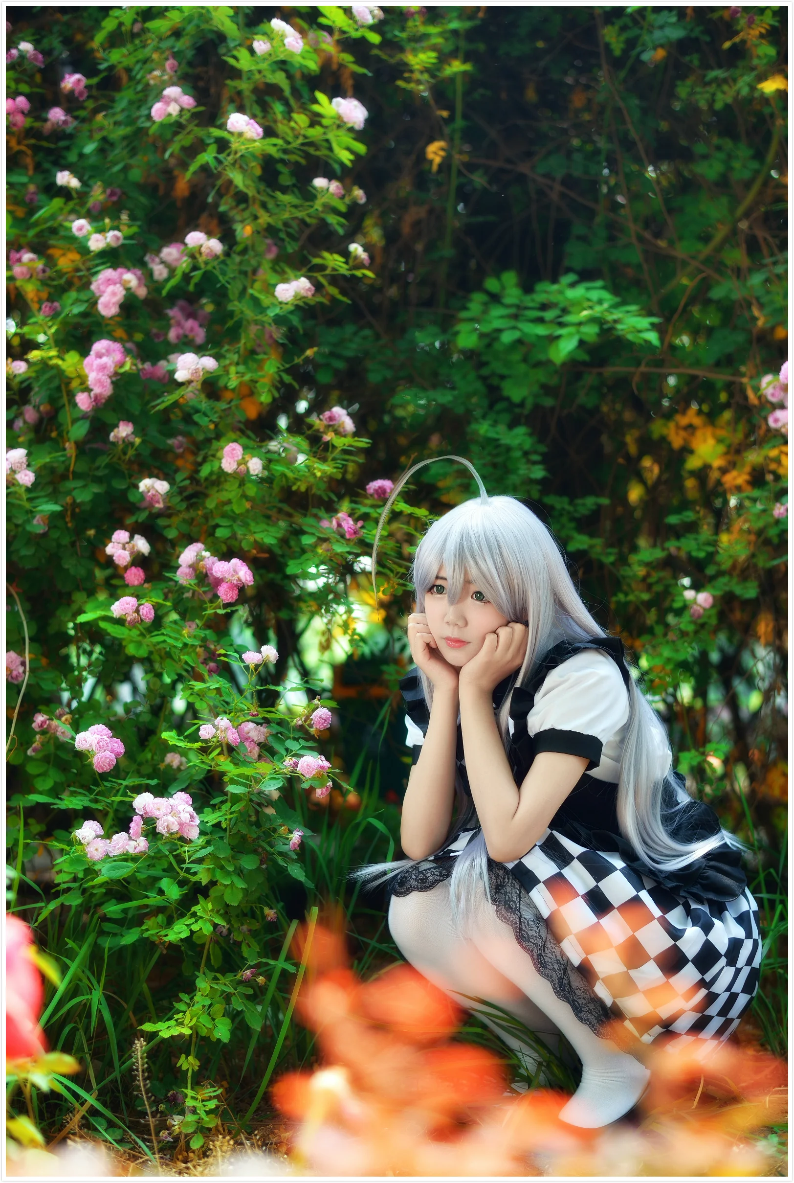 潜行吧奈亚子COS写真