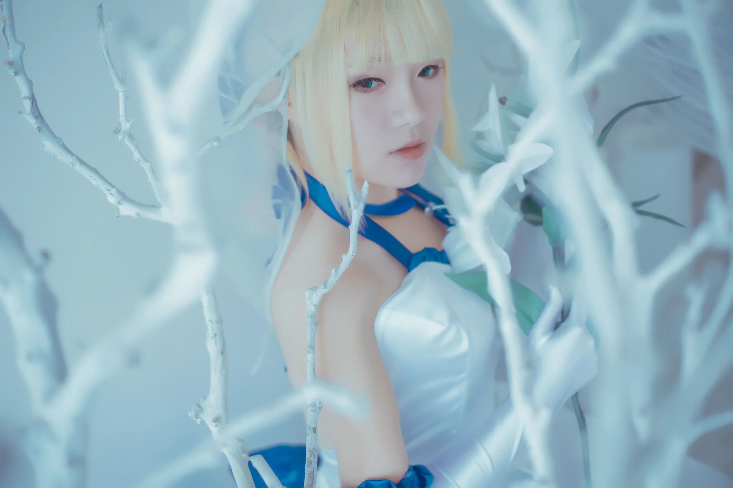 saber lily蓝百合COS写真