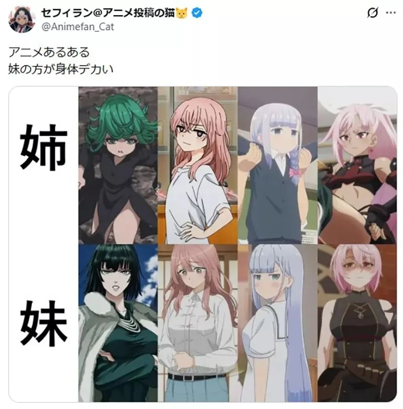 《動漫中的姊妹》妹妹常常長得比姊姊成熟？宅宅們腦中浮現出各種例子了｜高清图片集