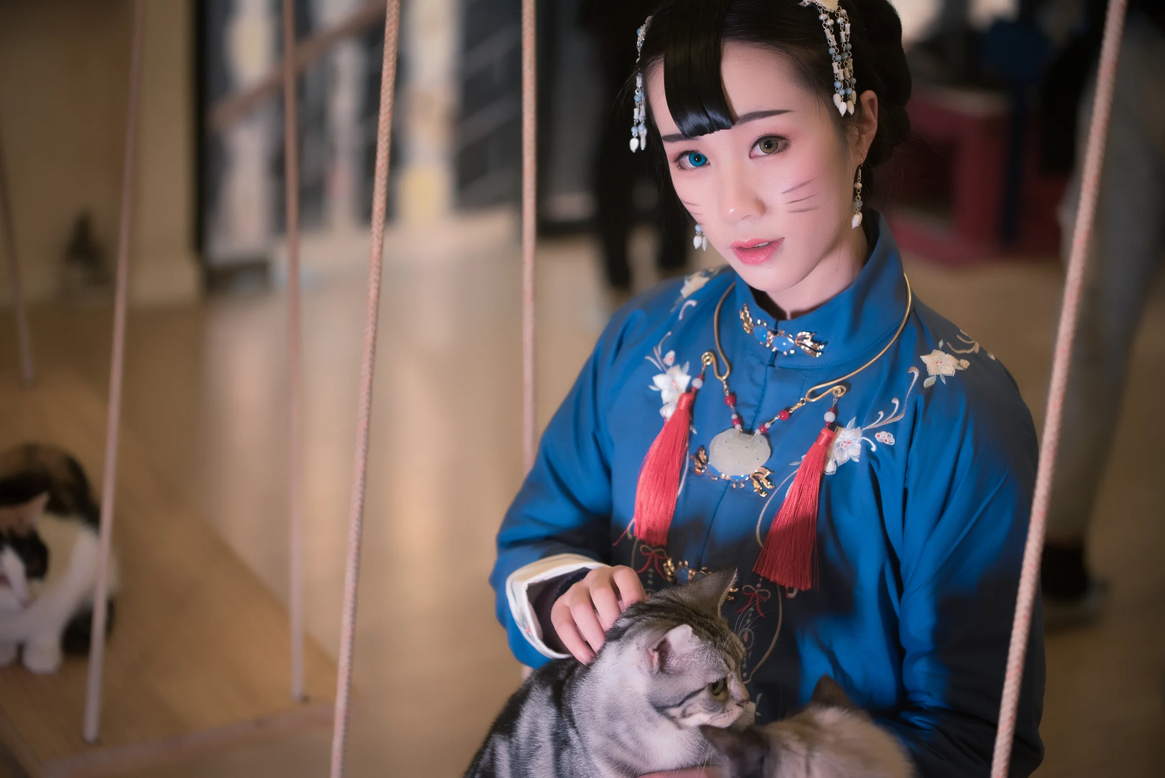 汉服日常#猫趣#｜高清图片集