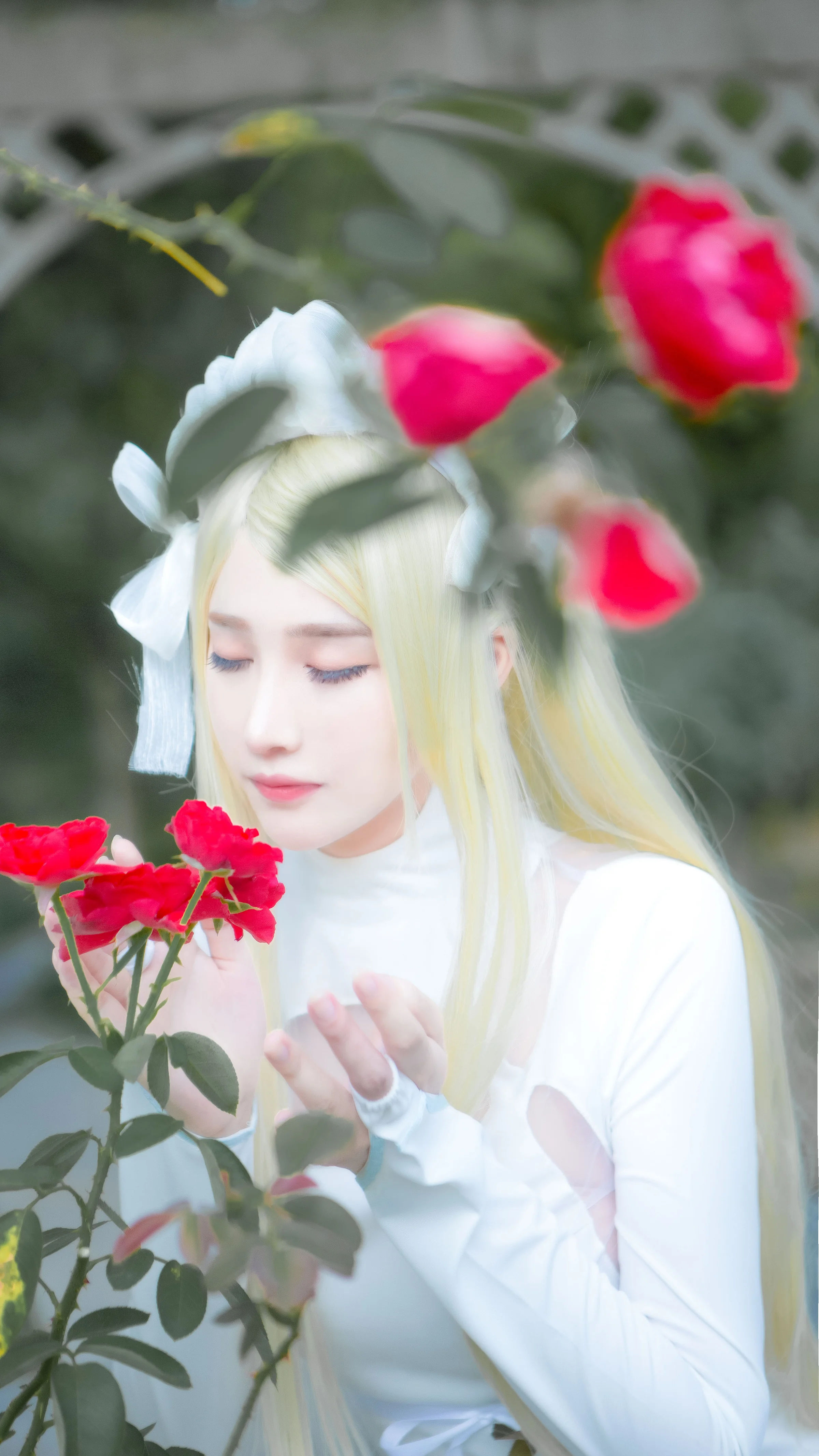 朝花夕誓 蕾莉亚COS写真
