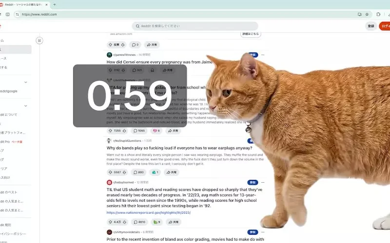 網友開發防沉迷插件《Cat Gatekeeper》上網上太久貓貓就會出現霸佔你的螢幕｜高清图片集