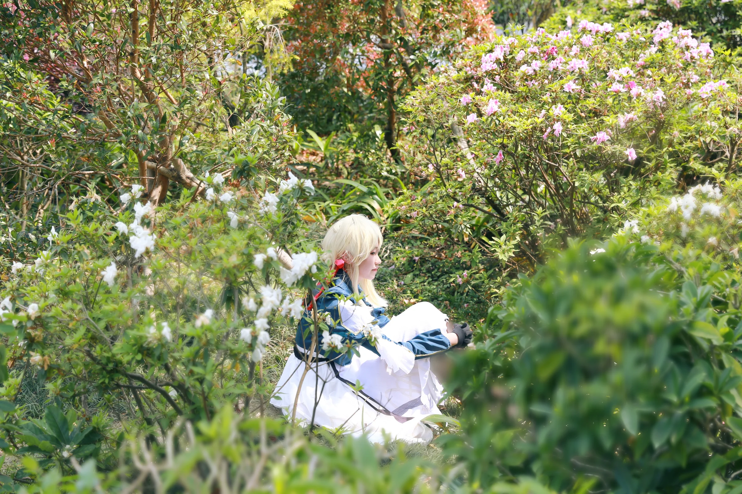 紫罗兰永恒花园 薇尔莉特·伊芙加登COS写真