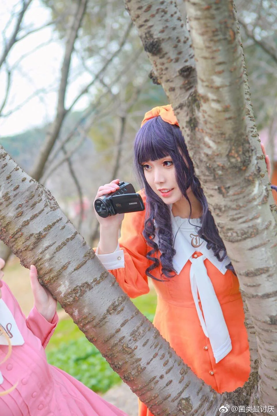 小樱COS写真，春の木漏れ日 君の微笑み
