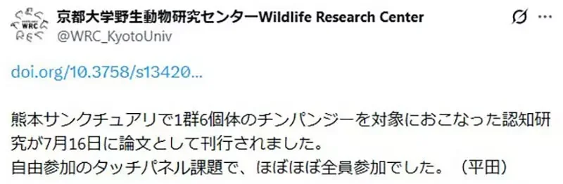 《京都大學研究黑猩猩》網友直呼超像日本社會？每天都能在某個角落看到同樣的景象｜高清图片集