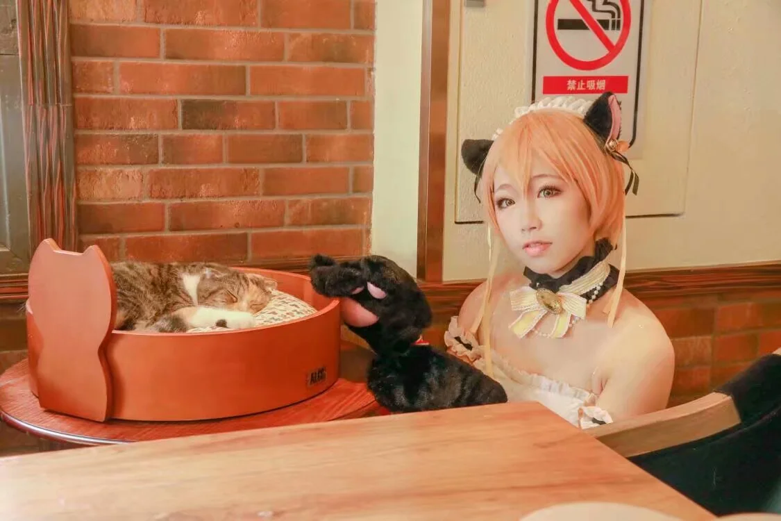 Love Live !凛喵情人节女仆COS写真