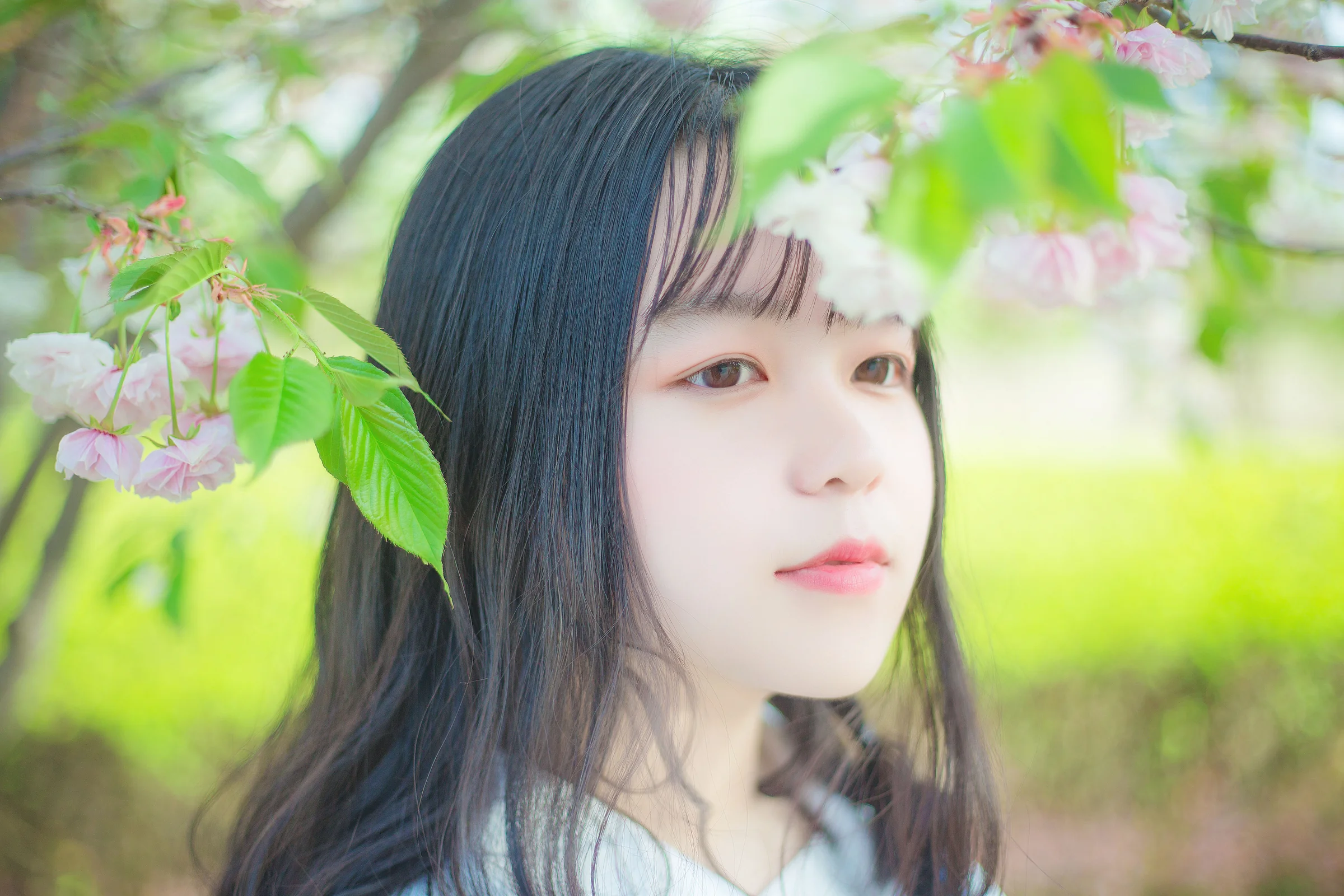 JK制服 阳光下的小可爱｜高清图片集