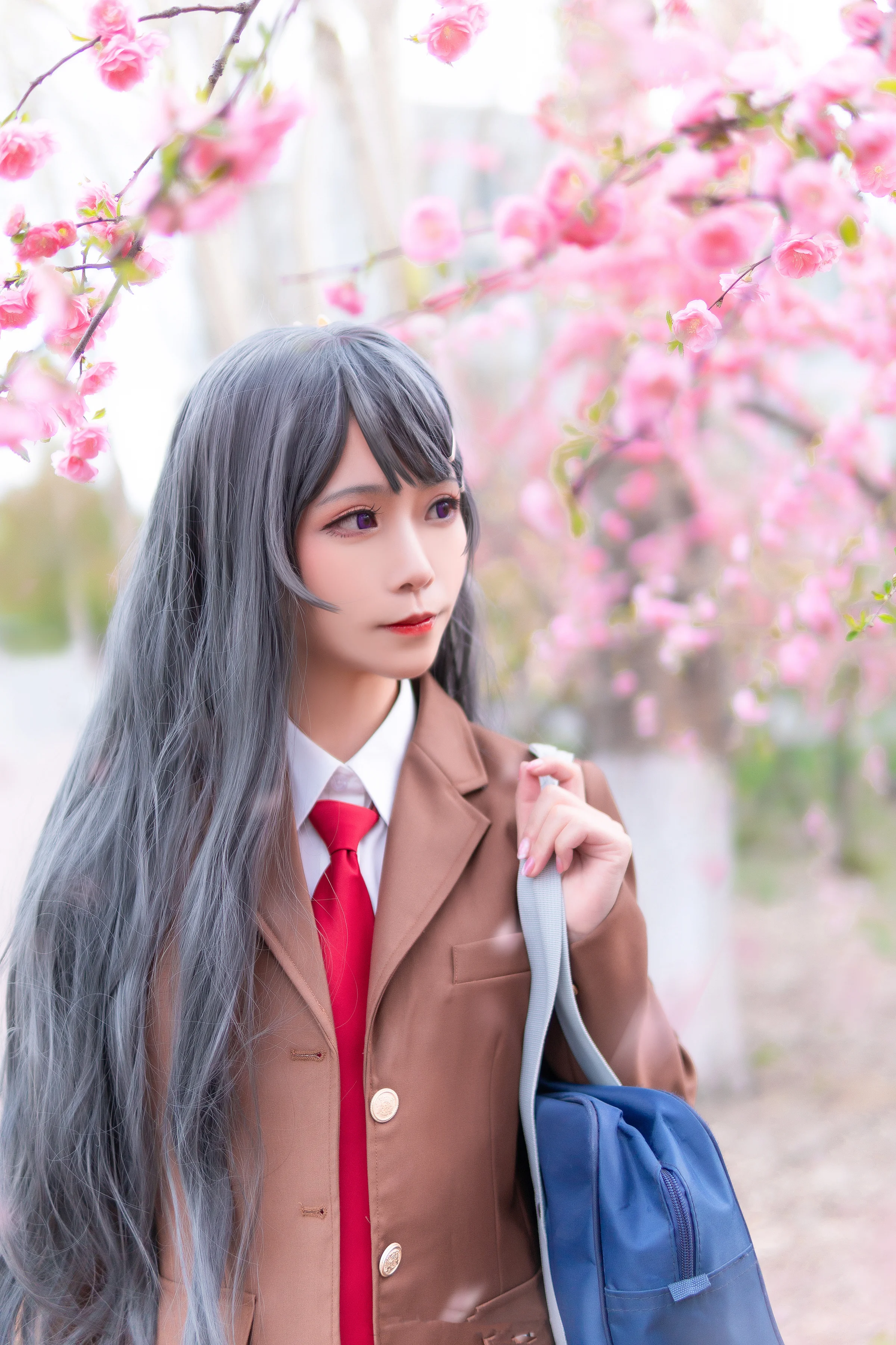 《青春期猪头少年不会梦到兔女郎学姐》樱岛麻衣COS写真