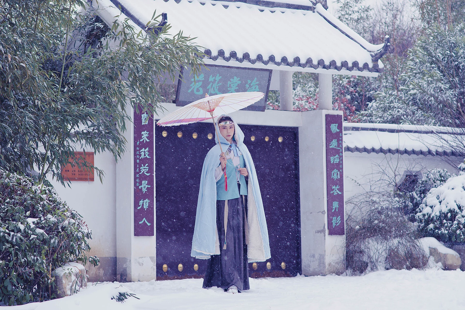 汉服私影 苏幕遮｜高清图片集