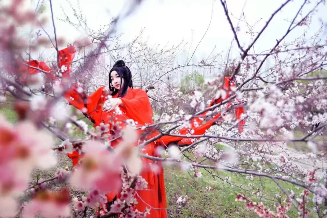 十里桃花 白浅COS写真