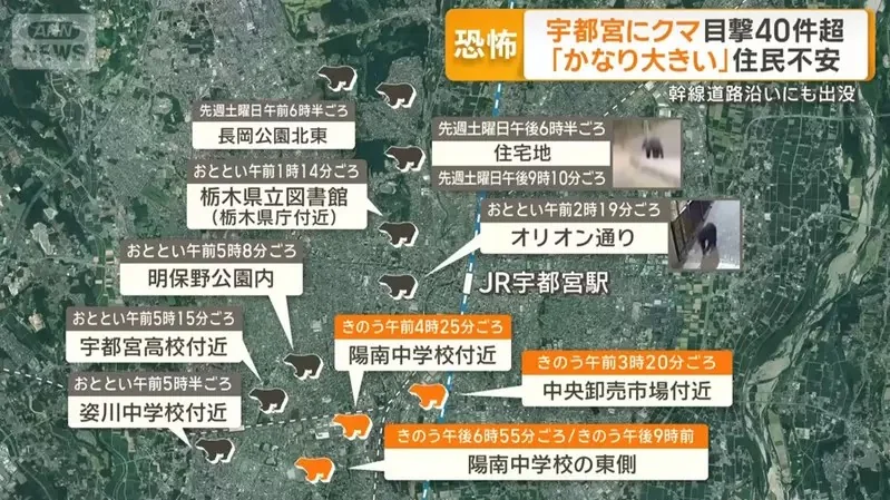 網友分享《用電動美甲機打磨拋光的黑熊爪》越覺得它漂亮就越感受到當中的恐怖(怕)｜高清图片集