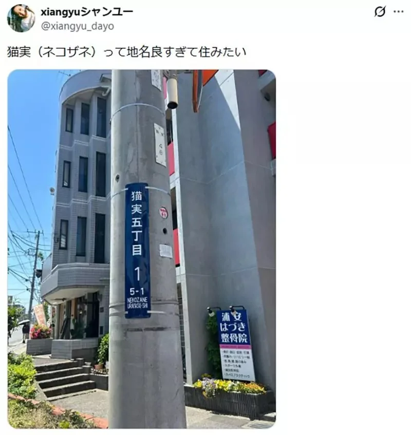貓奴們想要住在《名字有貓字的地區》日本各地其實存在這麼多｜高清图片集