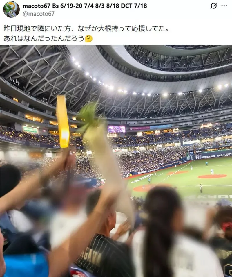 日本棒球場驚見《拿著蘿蔔加油的球迷》一看就知道是哪間學校的校友了？｜高清图片集