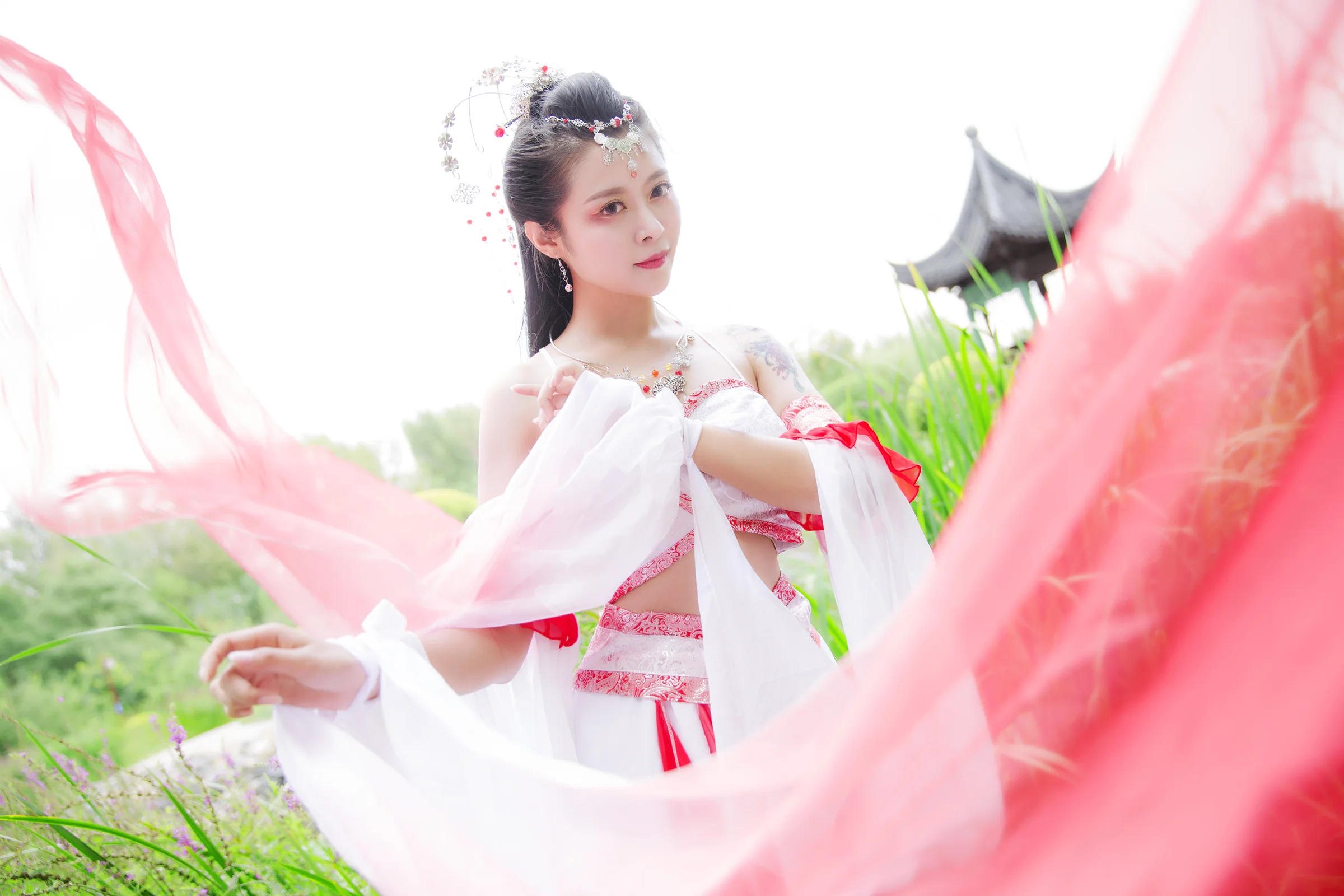 锦鲤抄 给大家带来好运！｜高清图片集