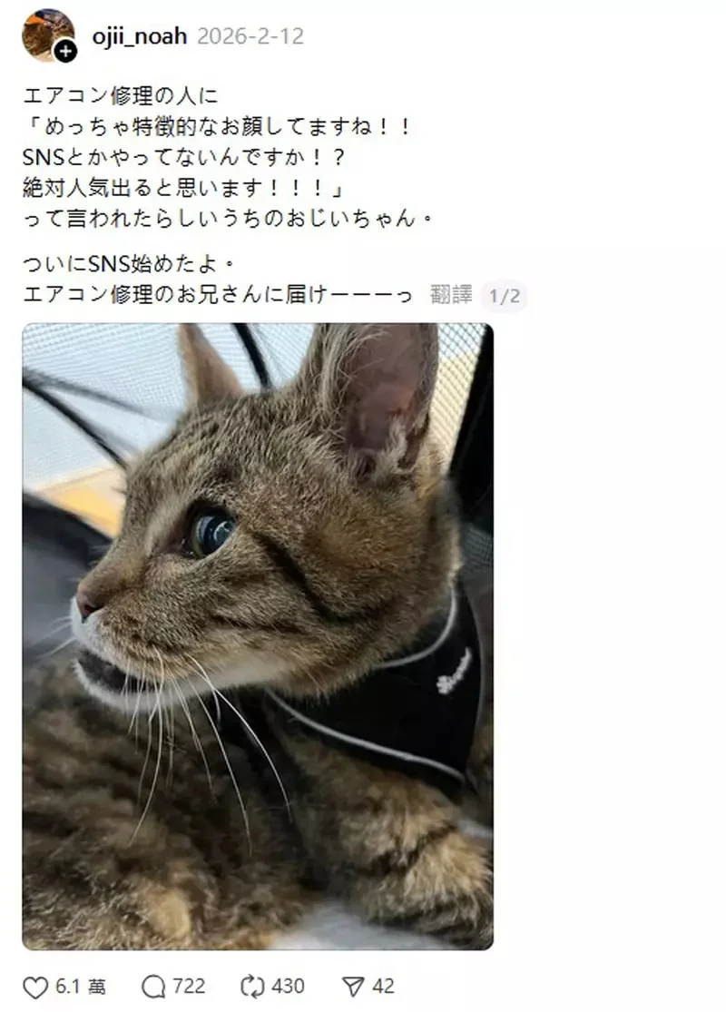 《下巴突出的貓貓》就連修冷氣的大哥看到都說有玩社群嗎？這拍照上傳肯定會紅啦｜高清图片集