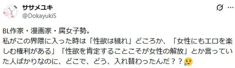 資深腐女疑惑《BL圈排斥性慾》這種風潮是什麼時候開始的？｜高清图片集