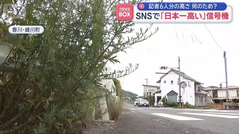 《日本最高紅綠燈》比６個人疊起來還要高 做這麼高是要給誰看？｜高清图片集