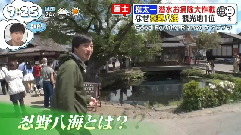 日本人氣觀光地《忍野八海》跟拍潛水員回收觀光客亂丟的硬幣｜高清图片集