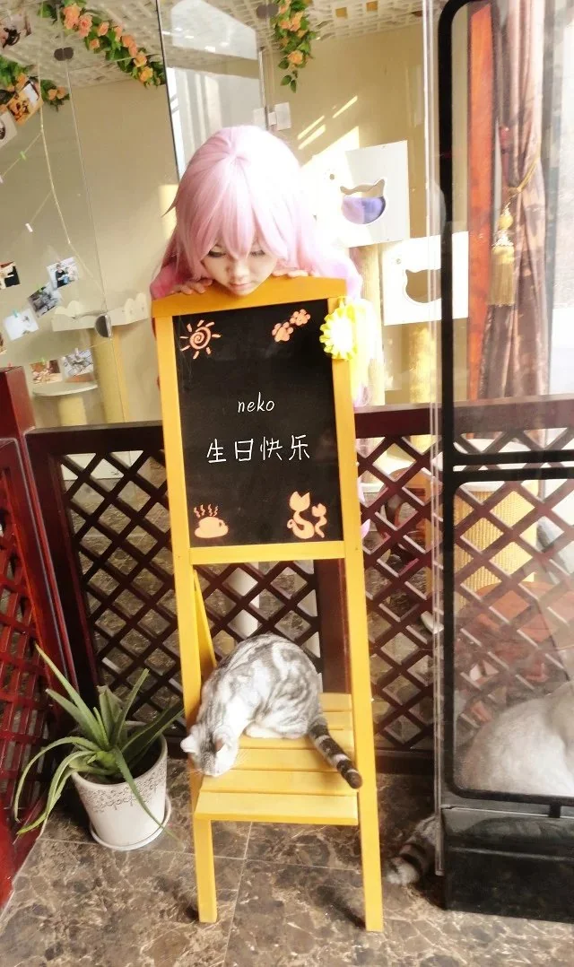 K neko COS写真