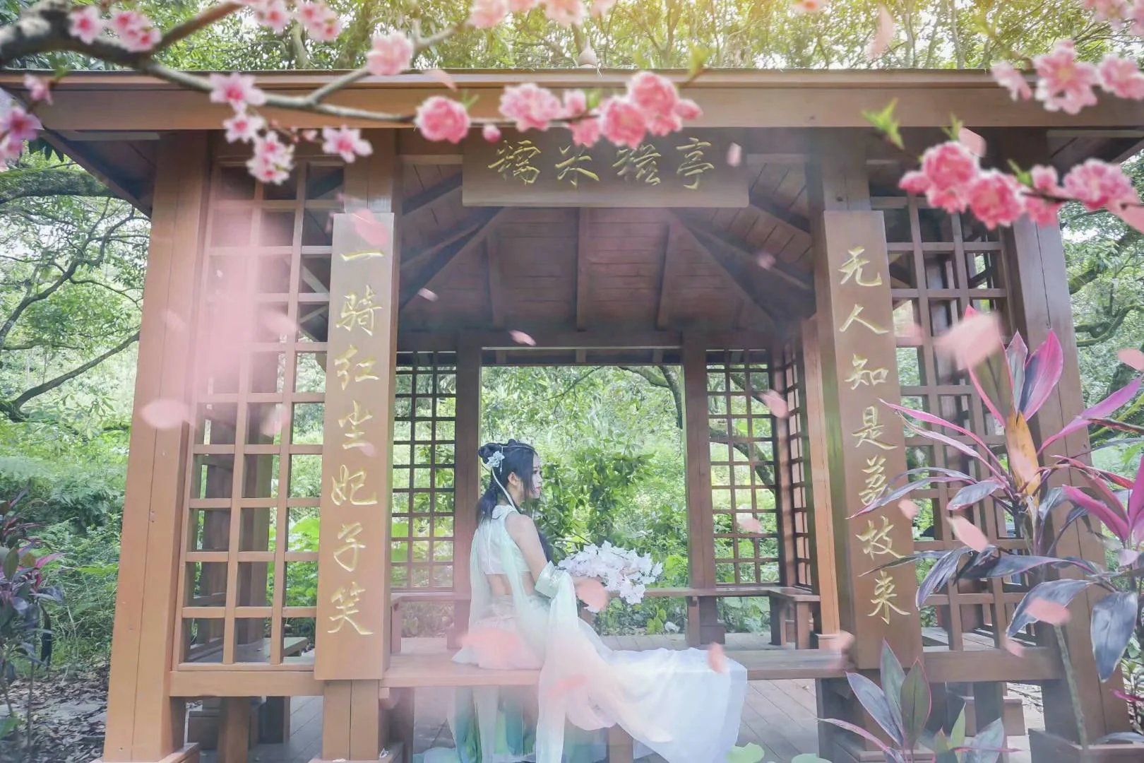 锦鲤抄青鲤COS写真