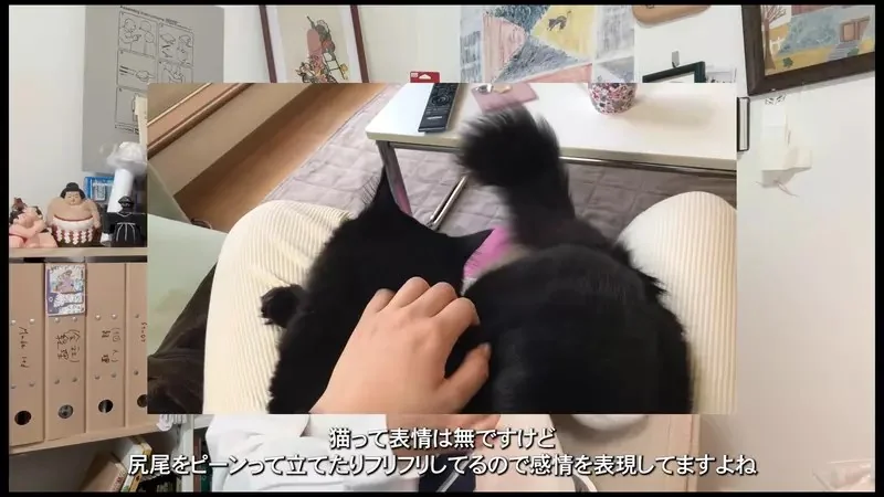 開發了一款《領帶尾巴》的裝置，隨著打字節奏領帶也會跟著甩動，就像貓咪的尾巴一樣｜高清图片集