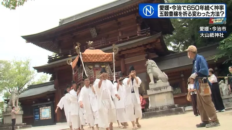 日本奇妙祭典《跟稻田精靈比相撲》唯一的力士後繼無人好苦惱｜高清图片集