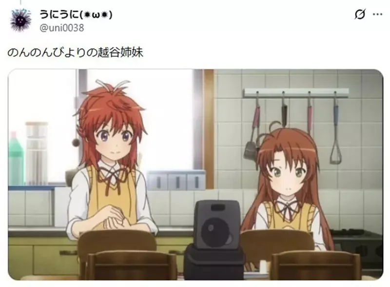 《動漫中的姊妹》妹妹常常長得比姊姊成熟？宅宅們腦中浮現出各種例子了｜高清图片集