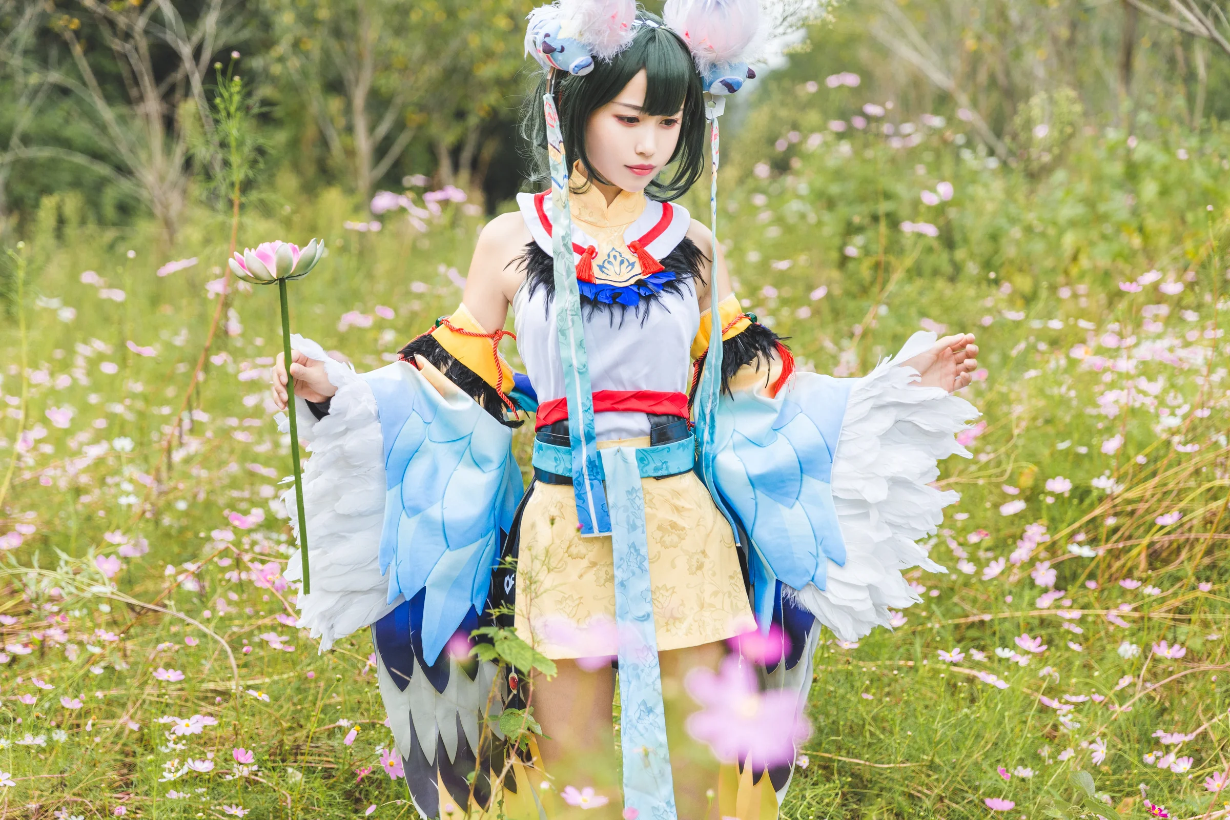 阴阳师花鸟卷COS写真,花鸟卷新皮闲池荷香
